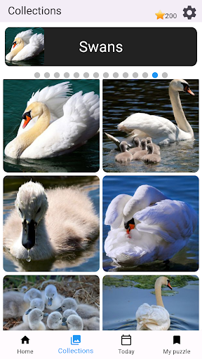 Colecciones de rompecabezas Colecciones de rompecabezas